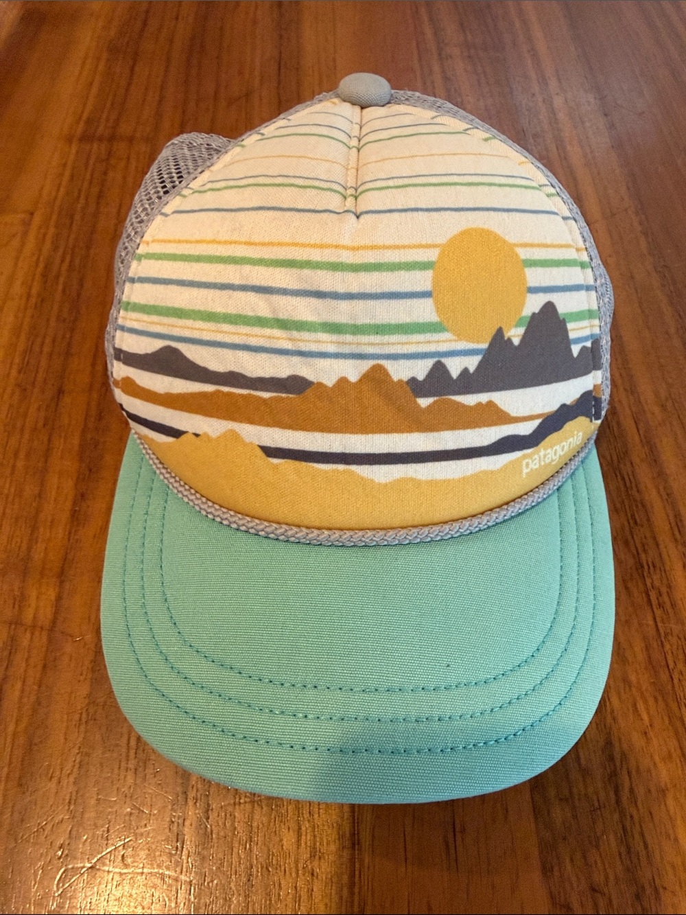 Men’s Patagonia  interstate trucker hat mountain sunset